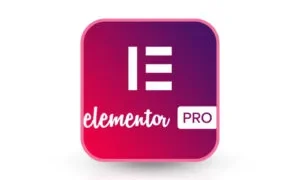 Elementor-Pro-Product-